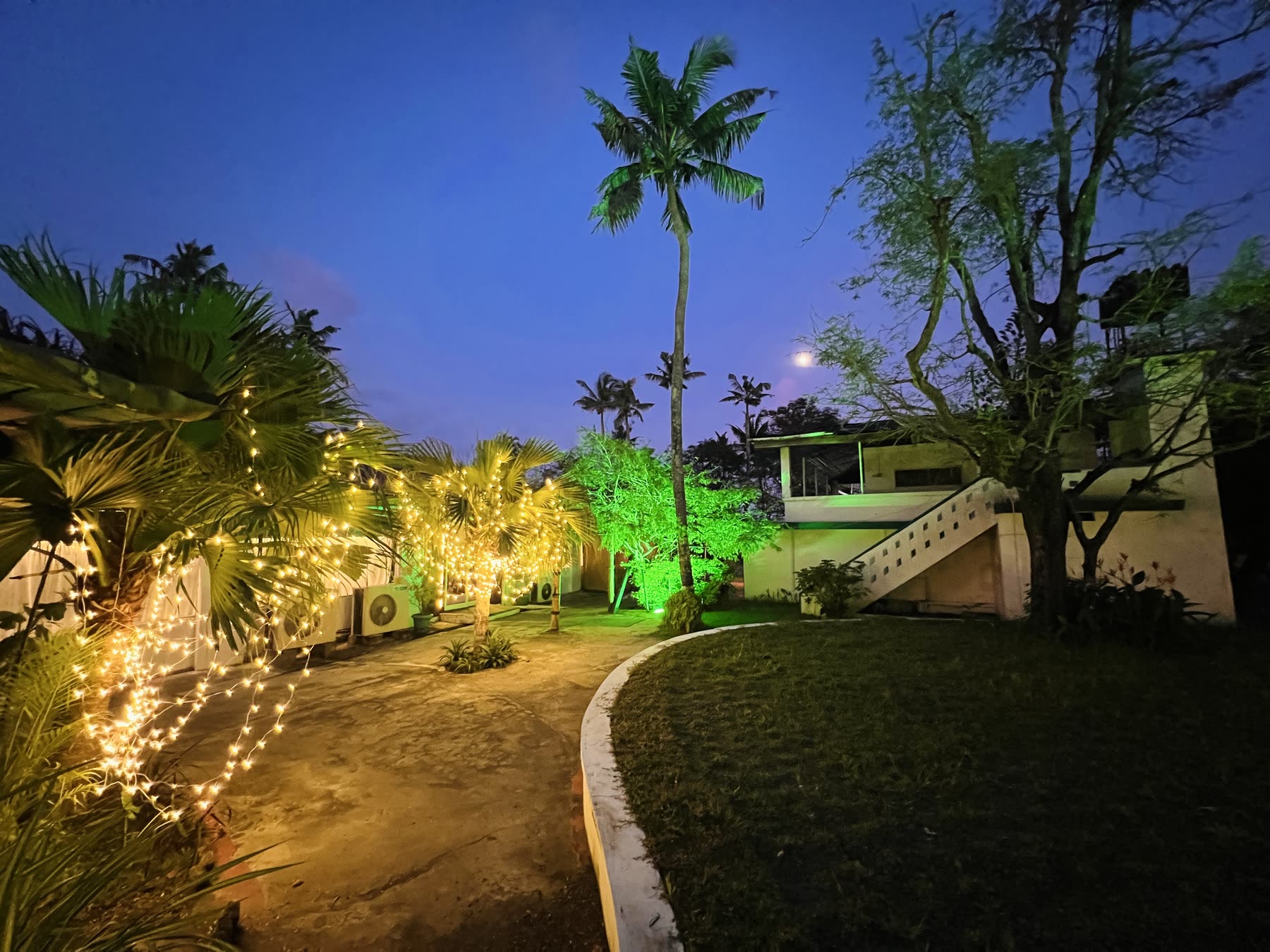 The island at dusk, with lit palms along the path